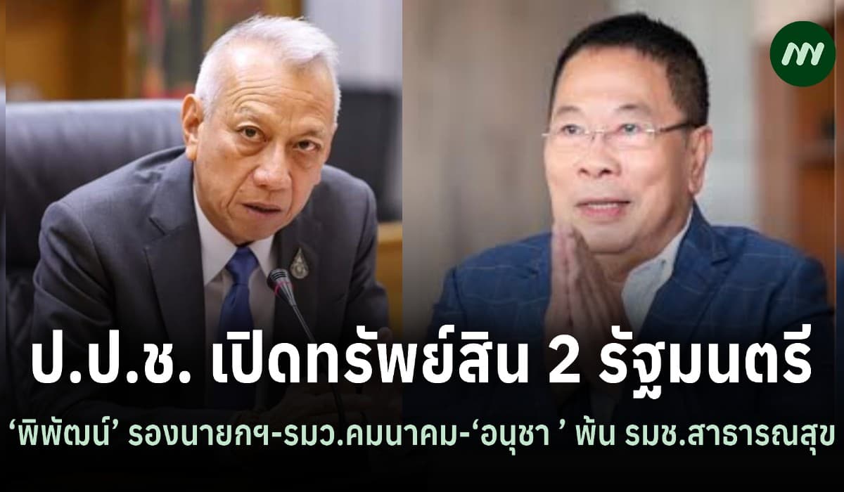 ป.ป.ช. เปิดทรัพย์สิน 2 รัฐมนตรี ‘พิพัฒน์’ รองนายกฯ-รมว.คมนาคม 4.6 พันล.-‘อนุชา ’ พ้น รมช.สาธารณสุข 480 ล.