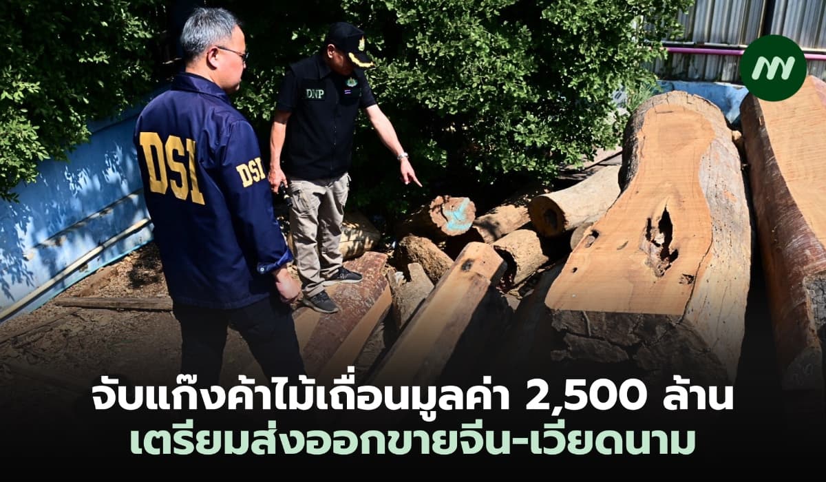 จับแก๊งค้าไม้เถื่อนมูลค่า 2,500 ล้าน เตรียมส่งออกขายจีน-เวียดนาม