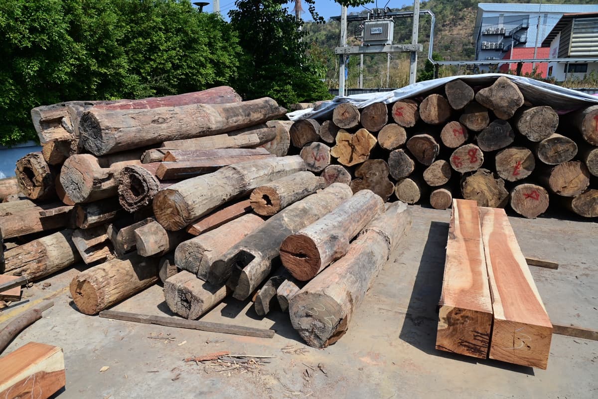 จับแก๊งค้าไม้เถื่อนมูลค่า 2,500 ล้าน เตรียมส่งออกขายจีน-เวียดนาม