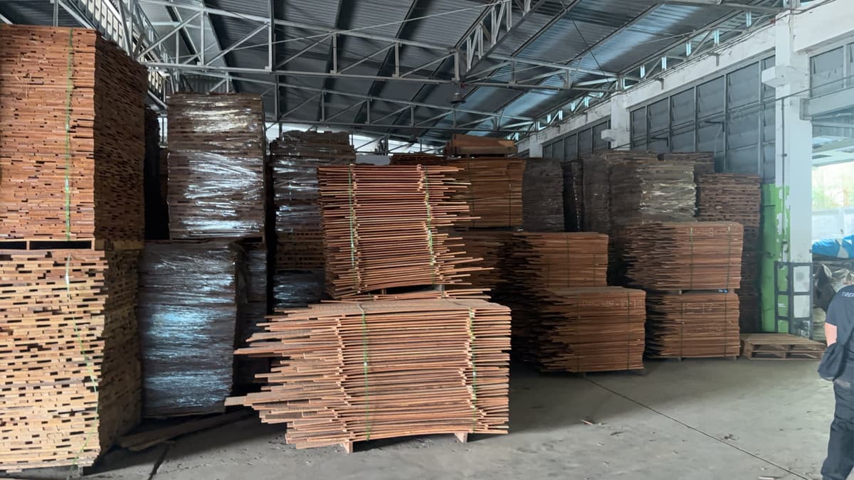 จับแก๊งค้าไม้เถื่อนมูลค่า 2,500 ล้าน เตรียมส่งออกขายจีน-เวียดนาม
