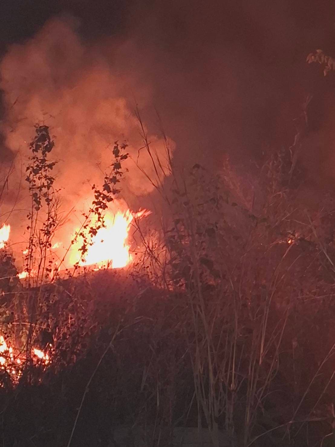 เผาริมทาง