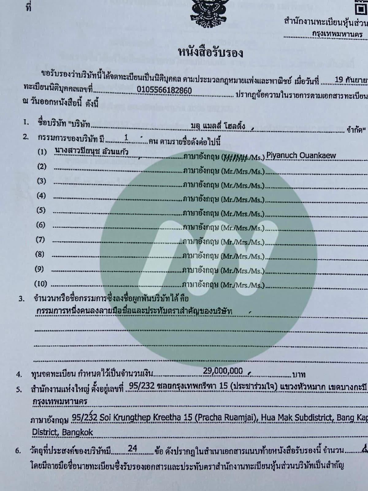 บริษัท บลู แมลลี่ โฮลดิ้ง จำกัด