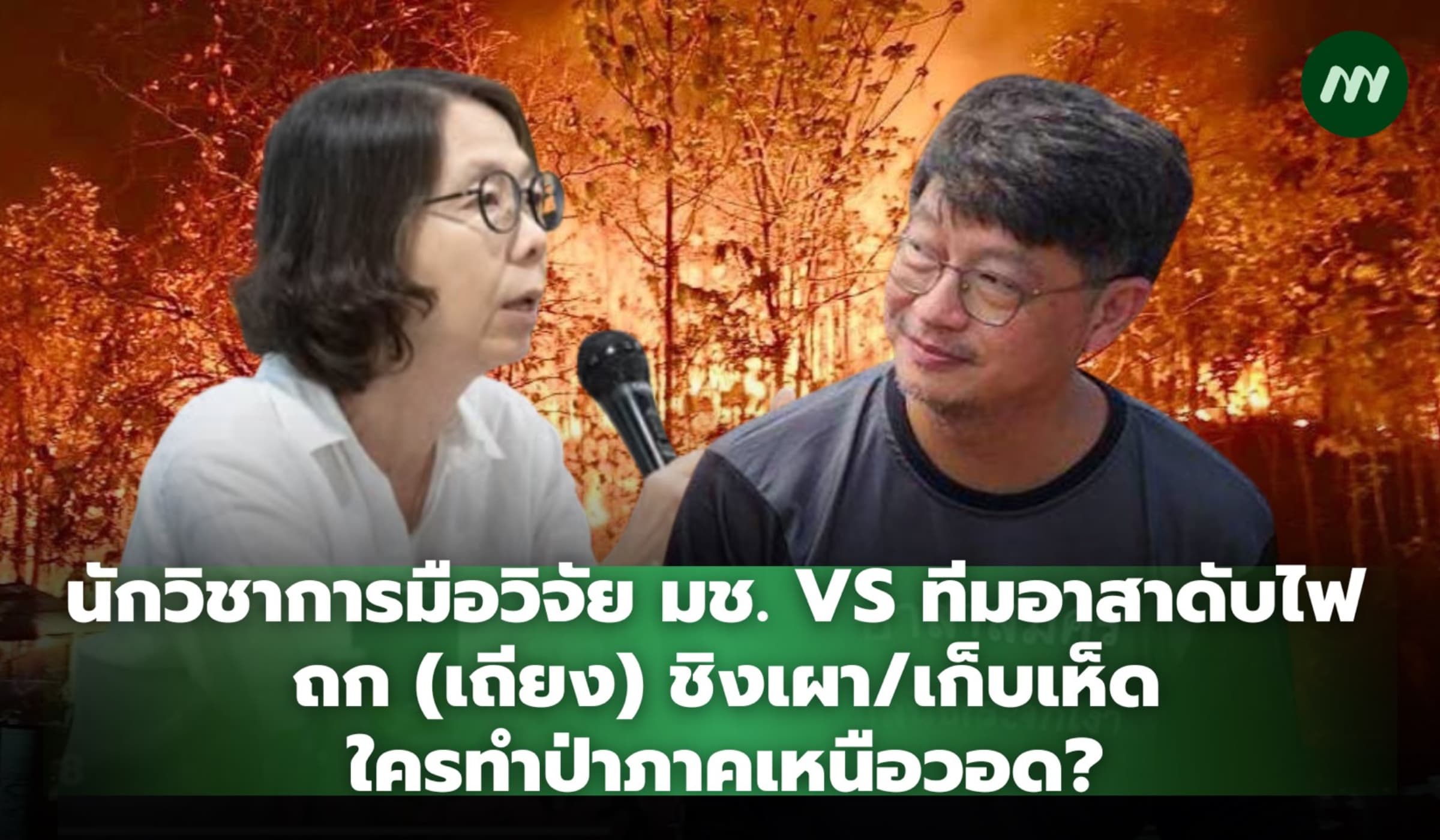 นักวิชาการ มช. VS ทีมอาสาดับไฟ  ถกชิงเผา/เก็บเห็ด ใครผลาญป่าภาคเหนือ?