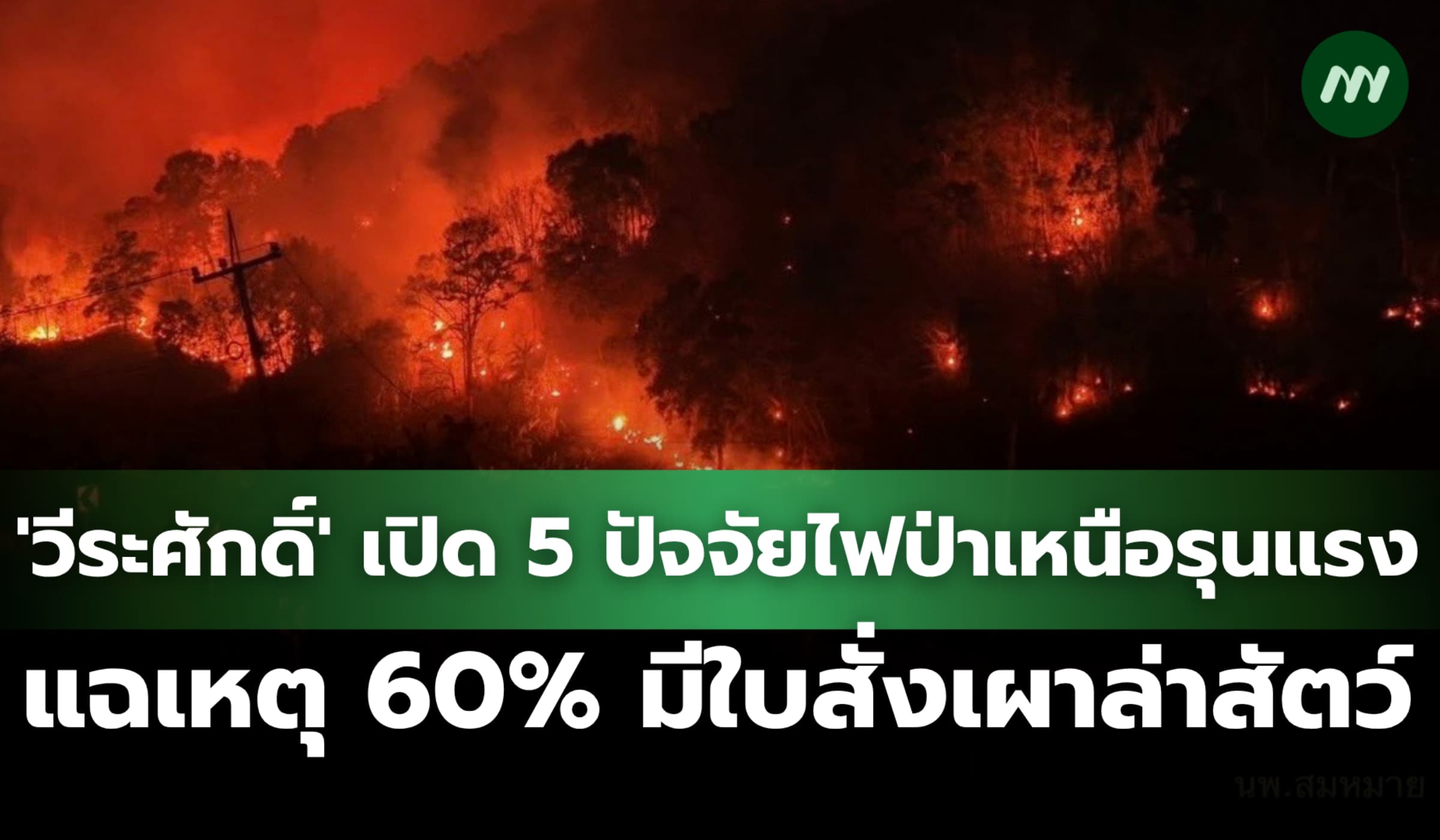 'วีระศักดิ์' เปิด 5 ปัจจัยไฟป่าเหนือรุนแรง แฉ 60% มีใบสั่งเผาล่าสัตว์