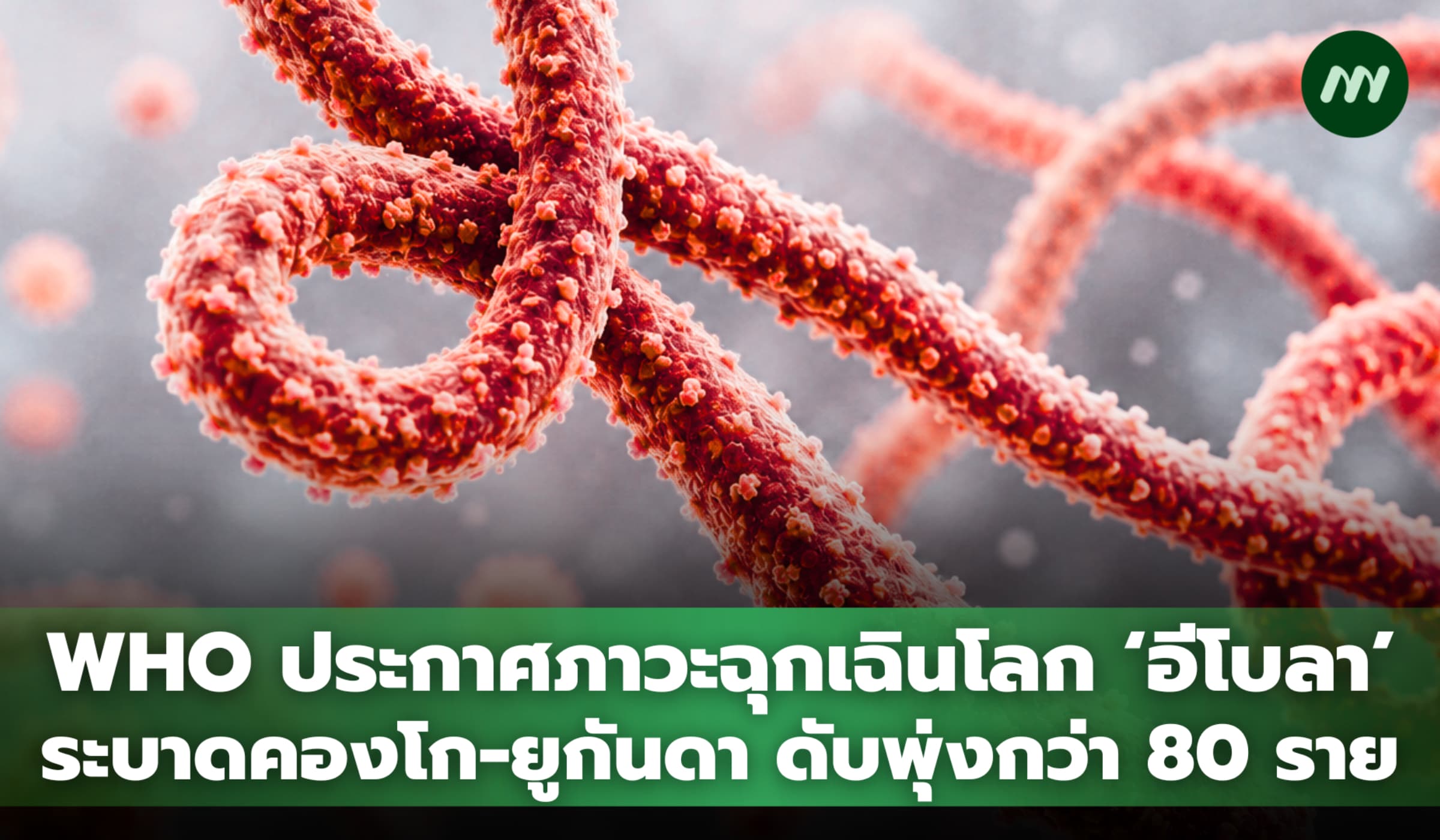 WHO ประกาศภาวะฉุกเฉินโลก ‘อีโบลา’ ระบาดคองโก-ยูกันดา ดับพุ่งกว่า 80ราย