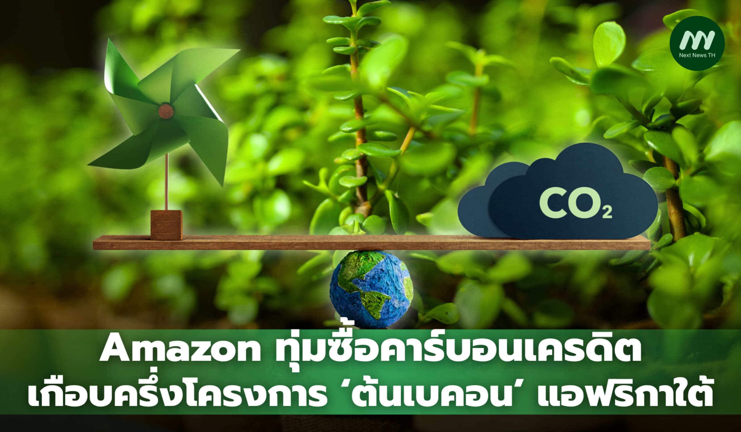 Amazon ทุ่มซื้อคาร์บอนเครดิตเกือบครึ่งโครงการ 'ต้นเบคอน' แอฟริกาใต้