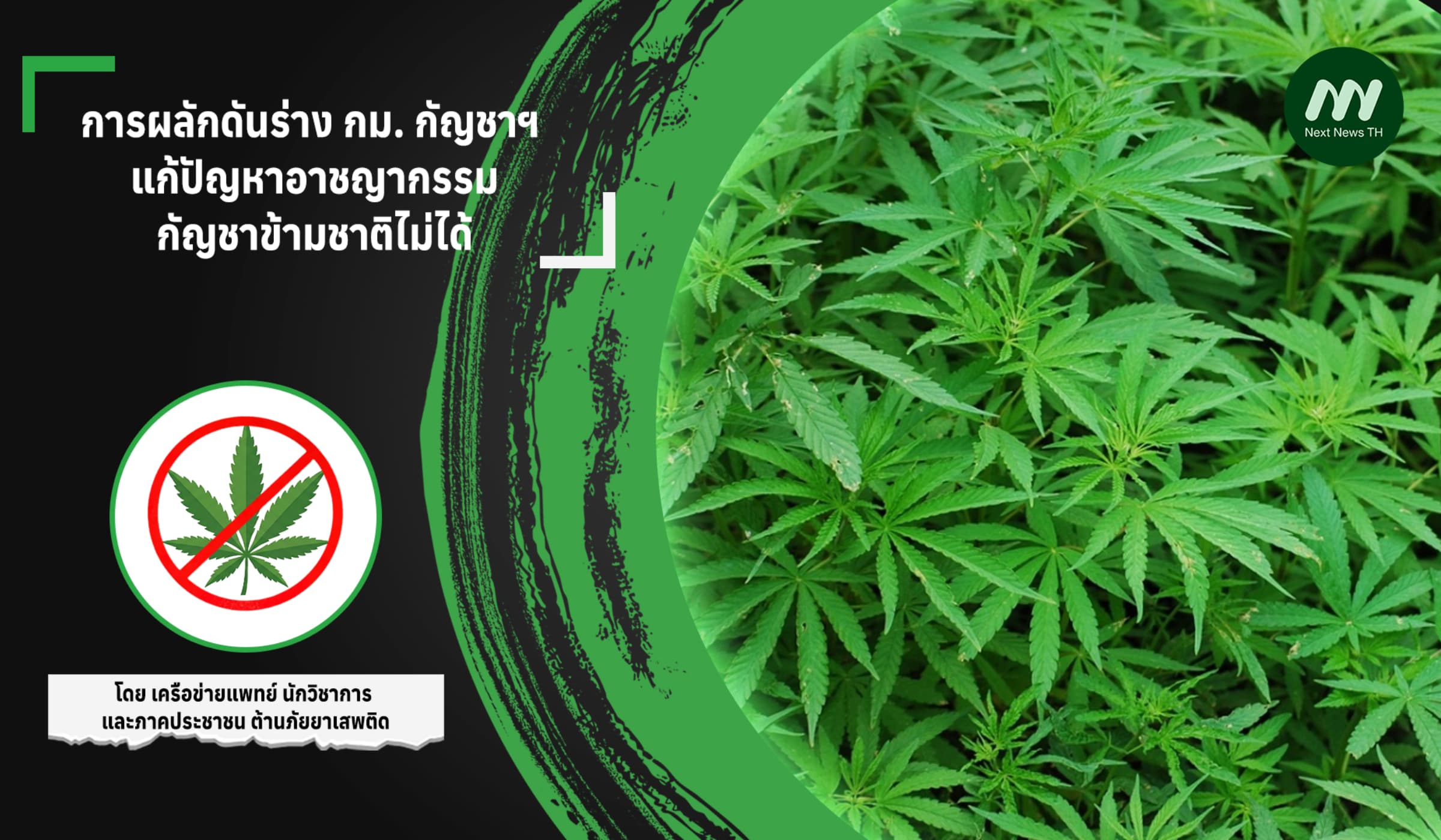การผลักดันร่าง กม. กัญชาฯ  แก้ปัญหาอาชญากรรมกัญชาข้ามชาติไม่ได้