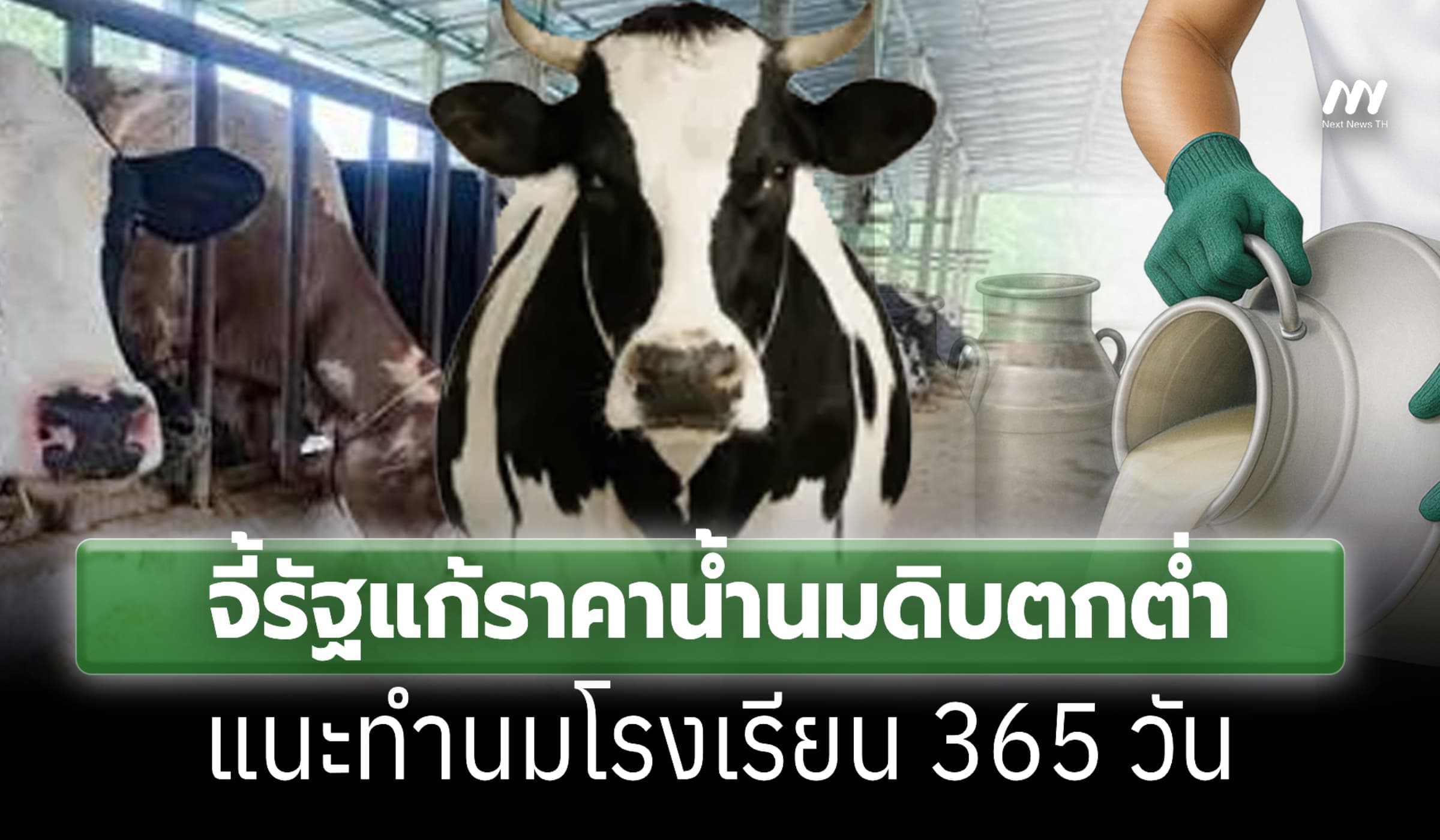กสม. จี้รัฐแก้ราคาน้ำนมดิบตกต่ำ แนะทำนมโรงเรียน 365 วัน