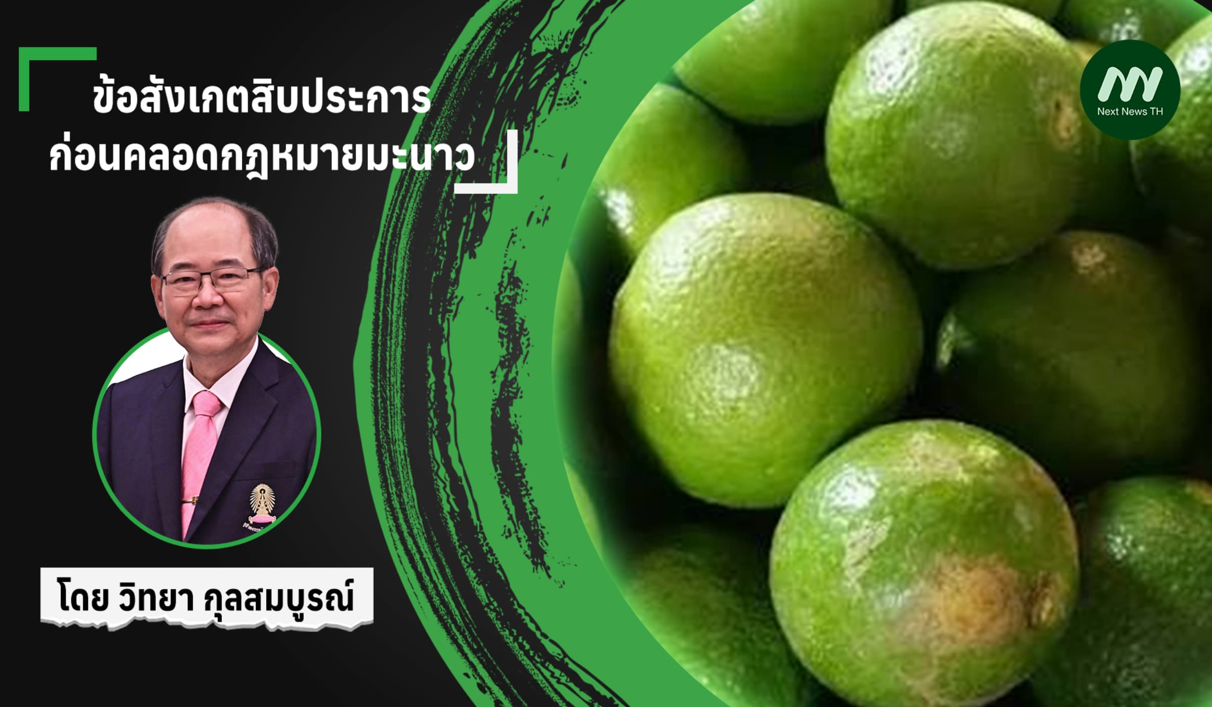 ข้อสังเกตสิบประการ :  ก่อนคลอดกฎหมายมะนาว