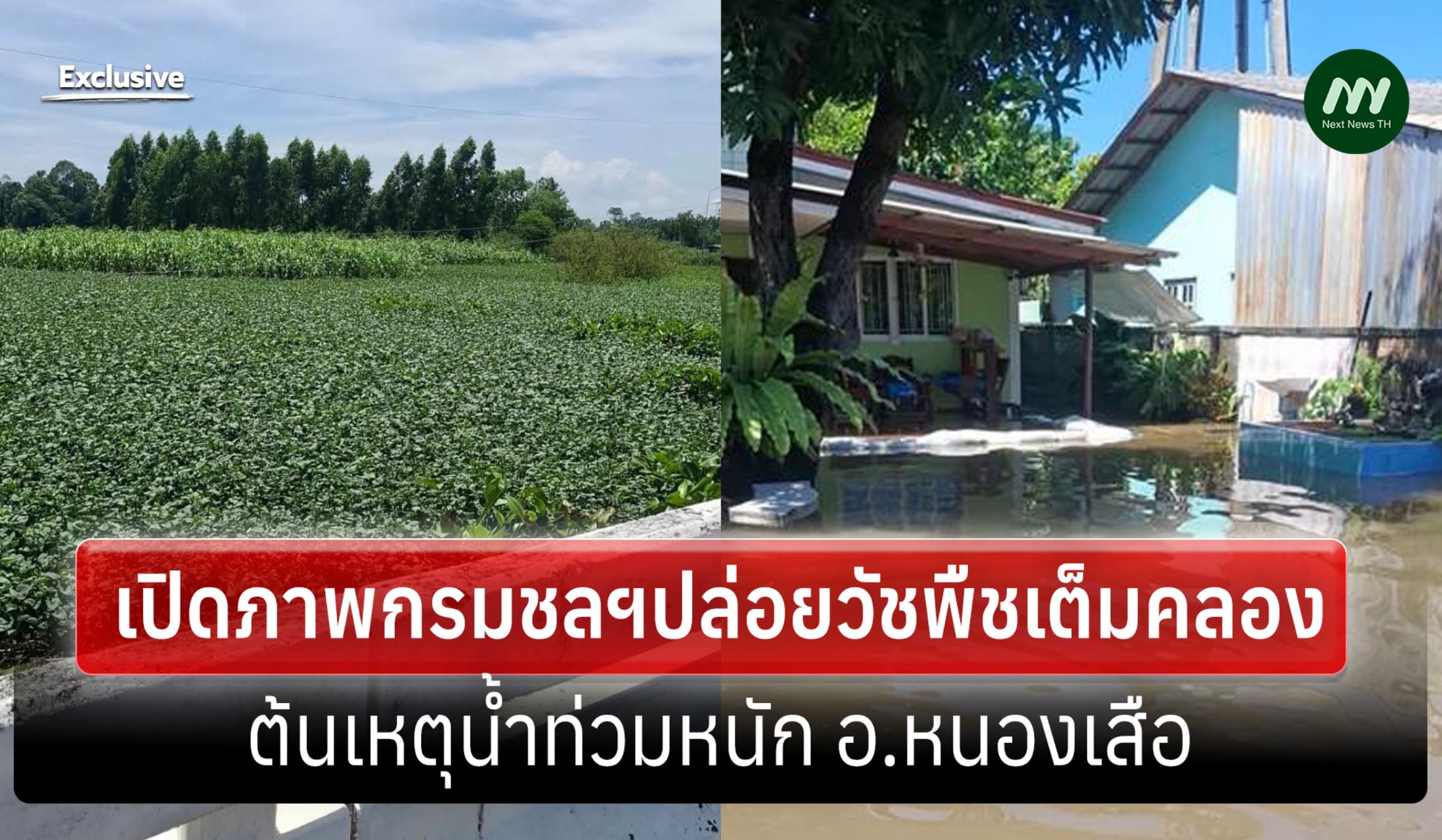 เปิดภาพกรมชลฯปล่อยวัชพืชพรึ่บเต็มคลองในอ.หนองเสือเหตุน้ำท่วมหนัก
