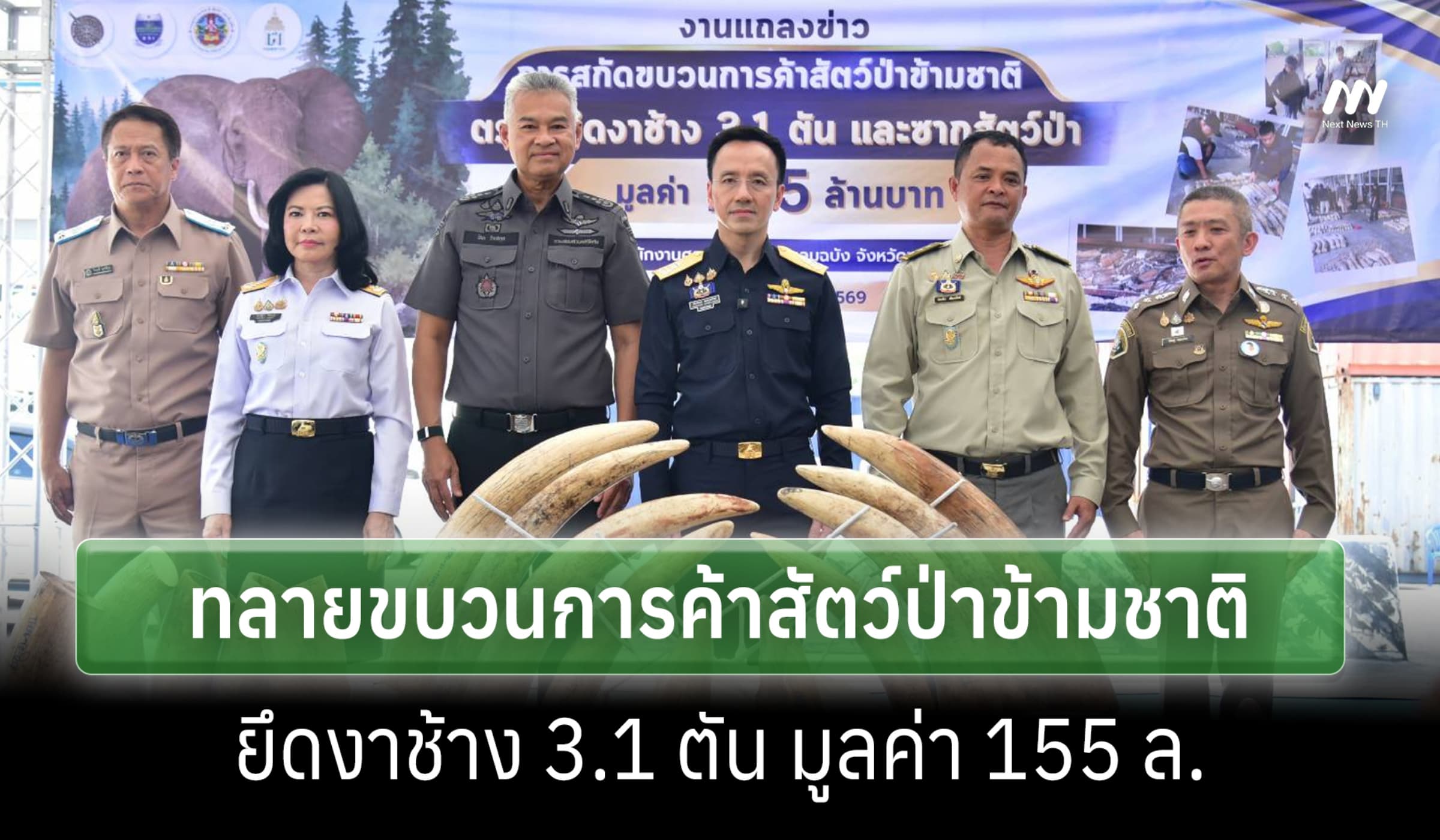 DSI ทลายขบวนการค้าสัตว์ป่าข้ามชาติ ยึดงาช้าง 3.1 ตัน มูลค่า 155 ล.