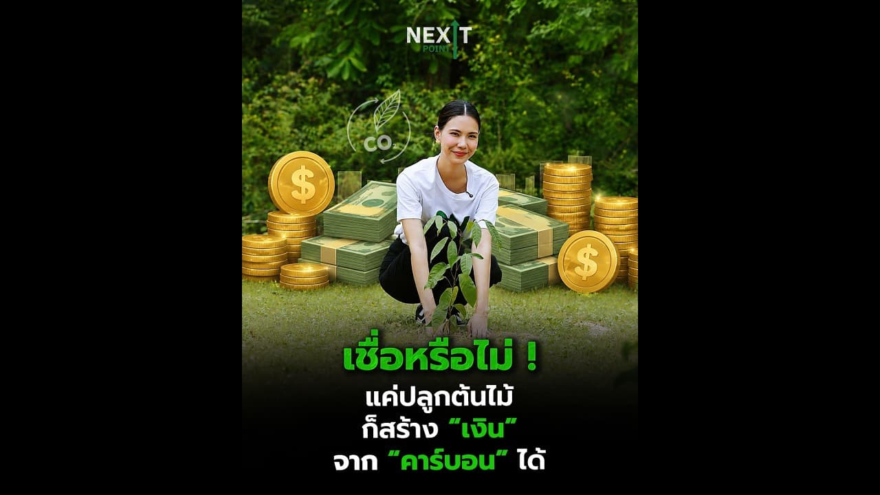 เชื่อหรือไม่ ! “ต้นไม้” สามารถสร้าง “รายได้” ผ่าน “คาร์บอนเครดิต” ได้จริง | Next News