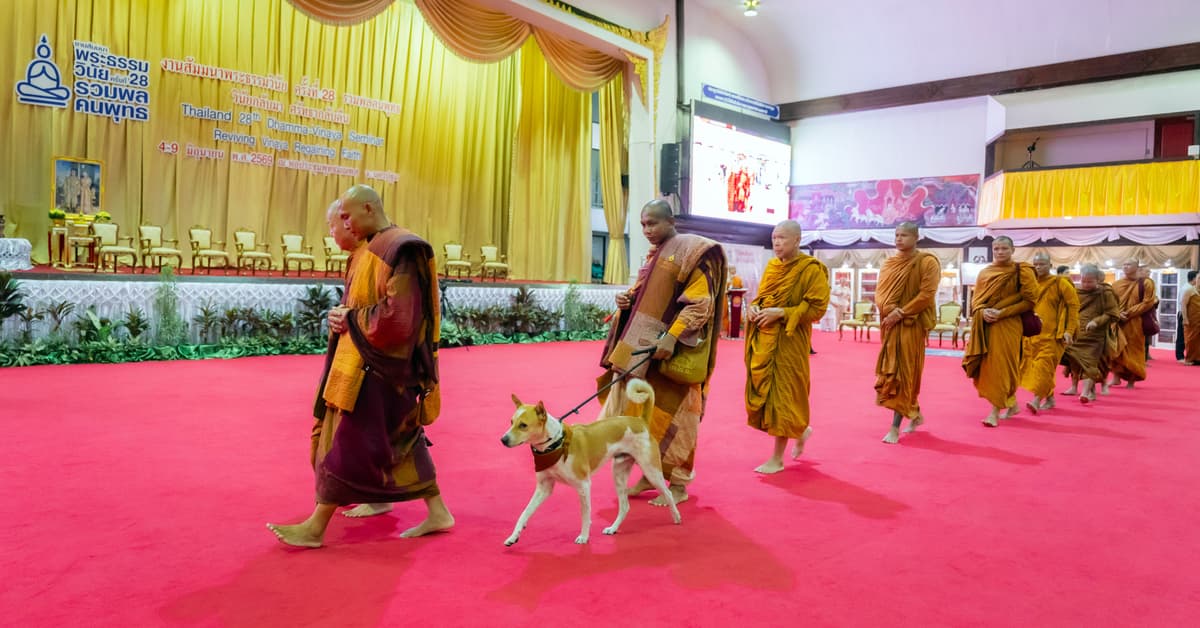 คณะพระภิกษุนานาชาติ "Walk for Peace" เยือนไทย รับรางวัล "เสาอโศกผู้นำศีลธรรม"