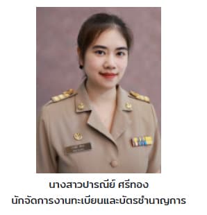 ป่าน